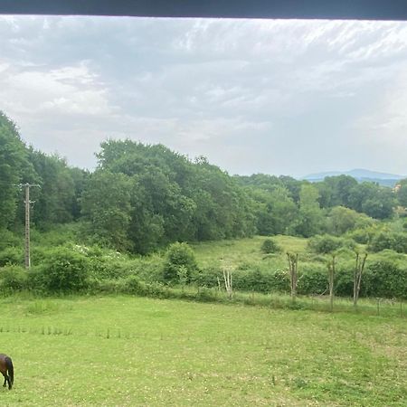 Appartement indépendant dans belle maison basque Mouguerre Esterno foto