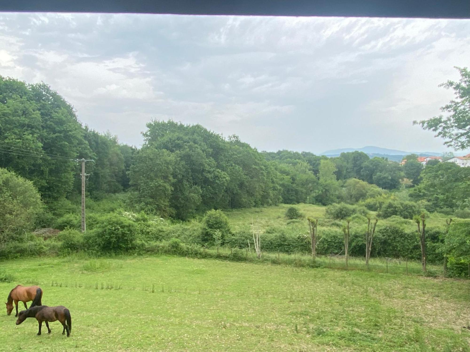 Appartement indépendant dans belle maison basque Mouguerre Esterno foto